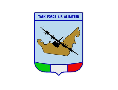 Translation & Communication Services for Military Institutions